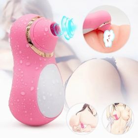 Intense Suction Clitoral Stimulator Female Massager Pink Estimulador Feminino De Seios E Clit√≥ris 10 Velocidades vibradoras femininos