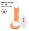 Adult Toy Six Toy Couple Av Head Attachment; Male Erection  USB Rechargeable Lifelike S~êx toy for Women - Bullet Adult toy for Female U-Shape Couple