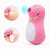 Intense Suction Clitoral Stimulator Female Massager Pink Estimulador Feminino De Seios E Clit√≥ris 10 Velocidades vibradoras femininos